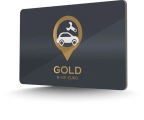 Two year Gold package for Launch X-431 EURO