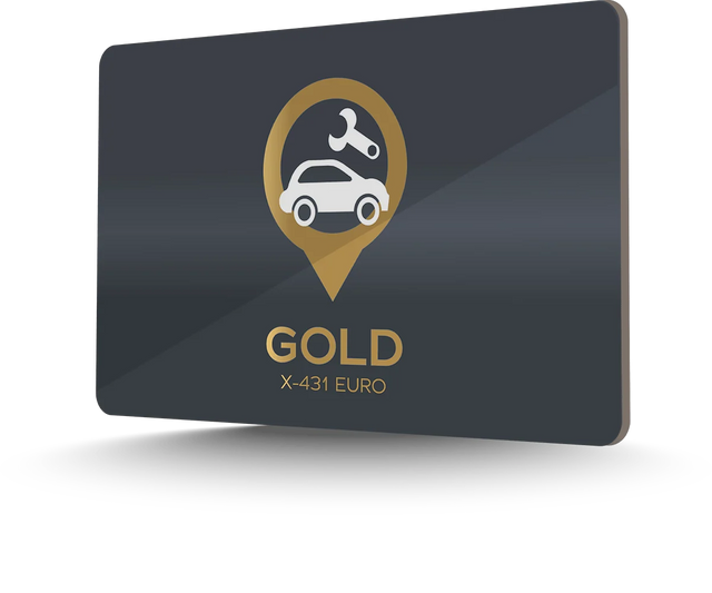 Two year Gold package for Launch X-431 EURO