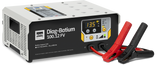 DIAG-BATIUM 100-12 FV: Professional Battery Support & Charger